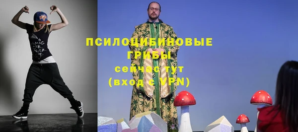 твердый Переславль-Залесский
