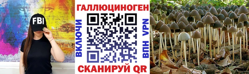 Галлюциногенные грибы Magic Shrooms  МЕГА ССЫЛКА  Ахтубинск 
